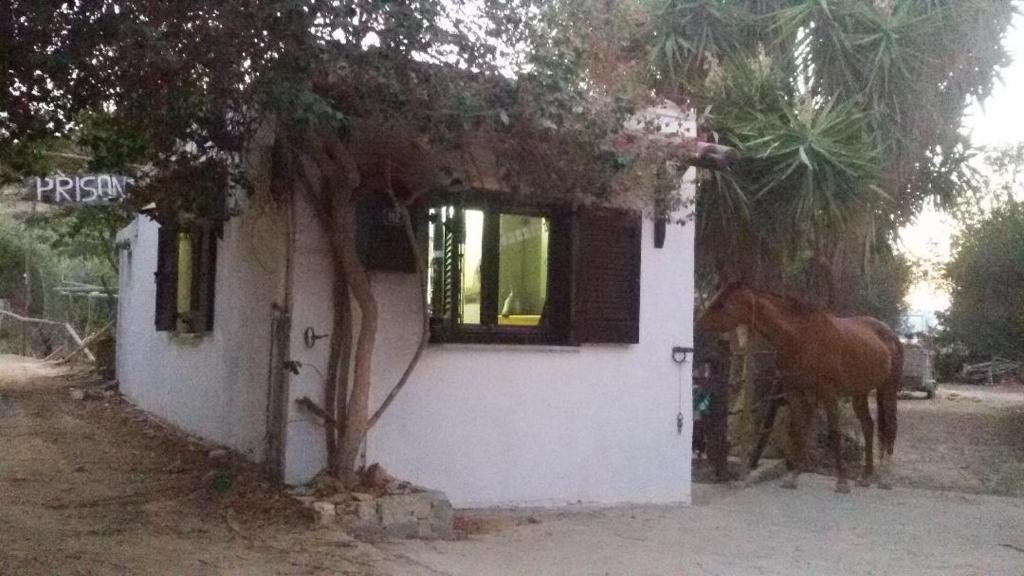 Sitia Vrisidi ranch room 2